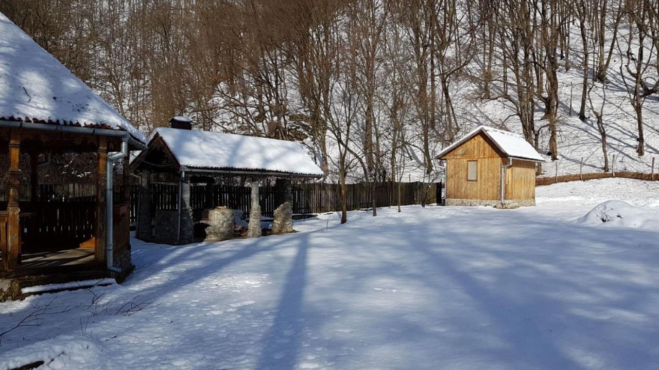 Pensiunea Valea Tonii Strungari Exteriör bild