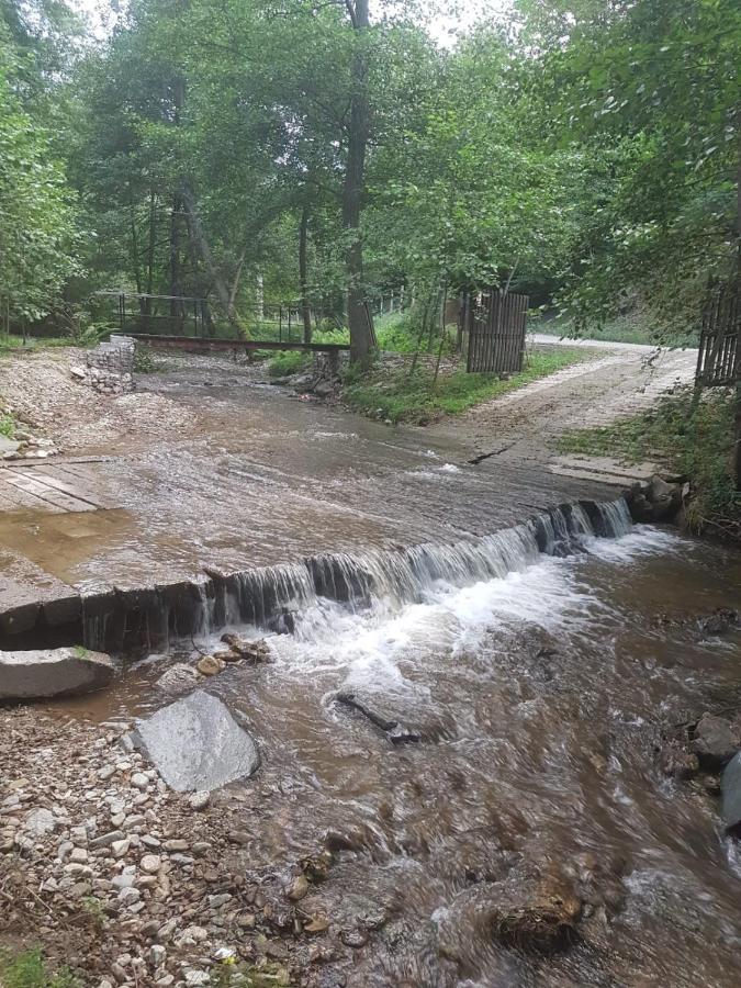 Pensiunea Valea Tonii Strungari Exteriör bild